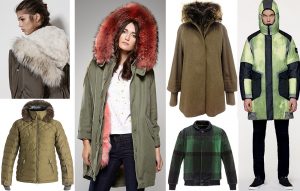 green ok winter protection