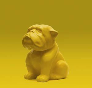 2 Alidem Wild - Mono yellow