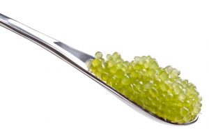 FingerLime3