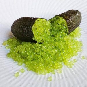fingerlime6