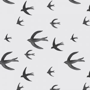 swallows-greyblack