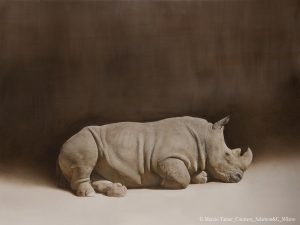 Tamer_2016_Rhino grande_acquerello cm 120 x 160_HD +prova col