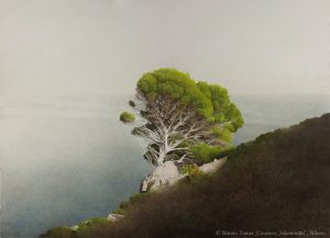 Tamer_Grande Pino_2017_Acquerello_cm 102 x 141